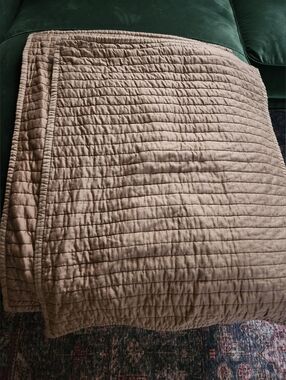 Threshold (TARGET) Dapper Brown Standard Size Sham (Set Of 2) Like New